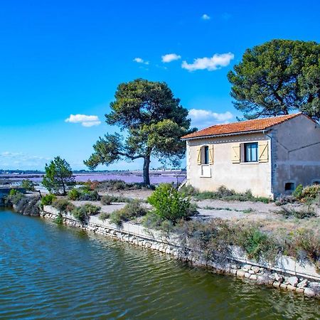 Mas De Colomina Aigues-Mortes Villa Dış mekan fotoğraf