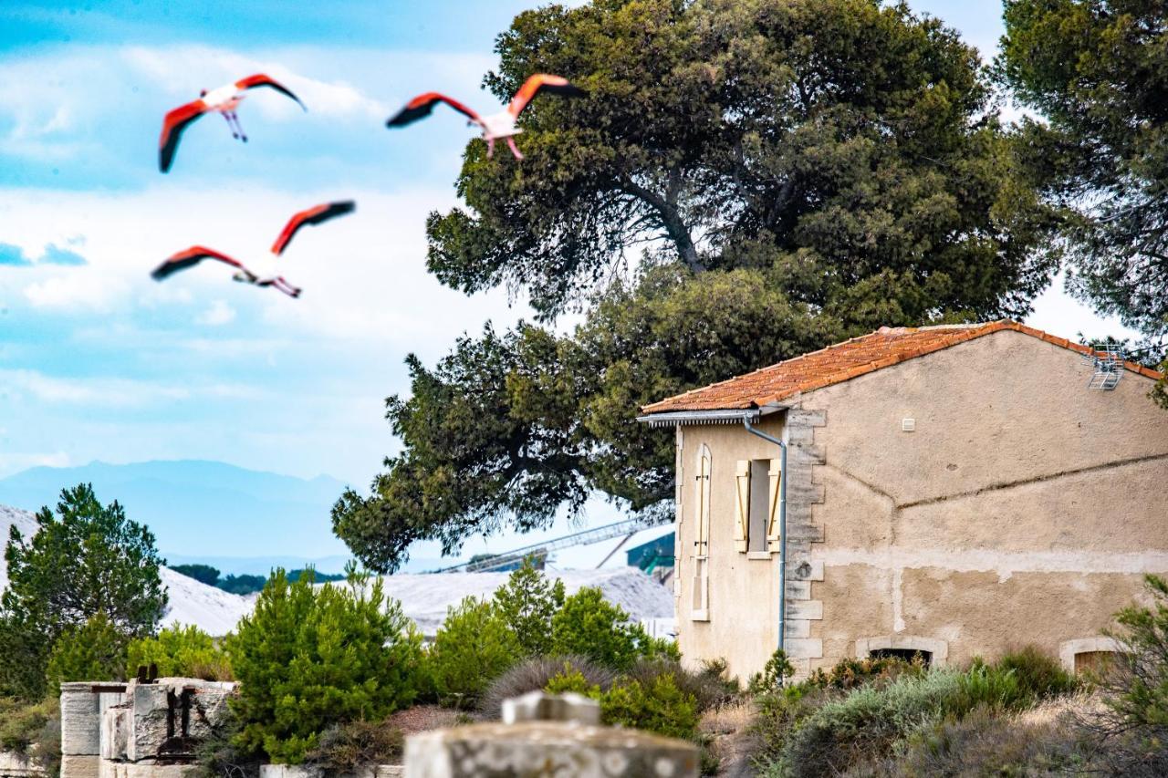 Mas De Colomina Aigues-Mortes Villa Dış mekan fotoğraf