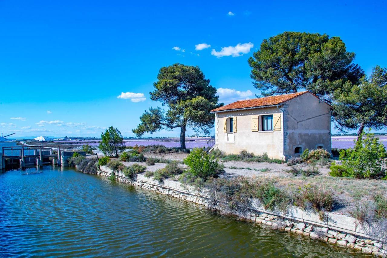 Mas De Colomina Aigues-Mortes Villa Dış mekan fotoğraf